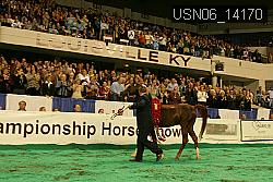 USN06_14170 thumbnail