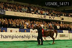 USN06_14171 thumbnail