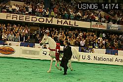 USN06_14174 thumbnail