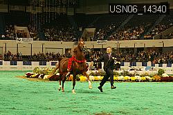 USN06_14340 thumbnail