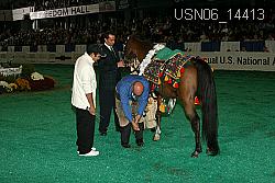 USN06_14413 thumbnail