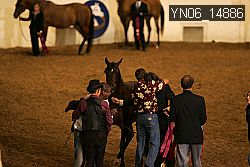 YN06_14886 thumbnail