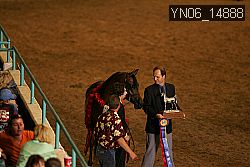YN06_14888 thumbnail