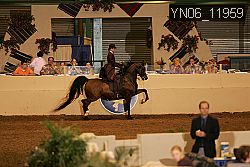 YN06_11959 thumbnail