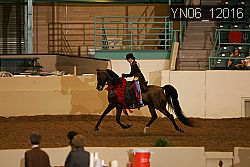 YN06_12016 thumbnail