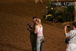 YN06_17289 thumbnail