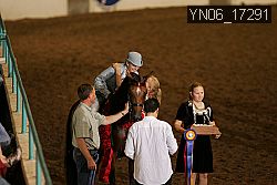 YN06_17291 thumbnail
