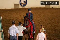 YN06_12980 thumbnail