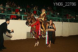 YN06_22786 thumbnail