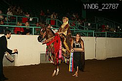 YN06_22787 thumbnail
