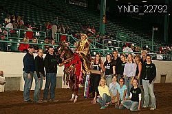 YN06_22792 thumbnail