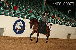 YN06_00873 thumbnail