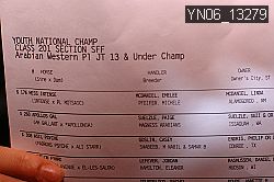 YN06_13279 thumbnail