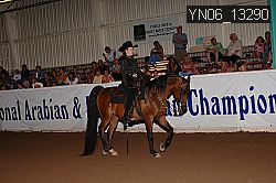 YN06_13290 thumbnail