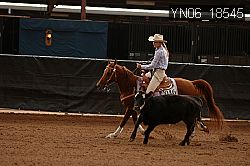 YN06_18545 thumbnail