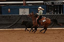 YN06_18593 thumbnail