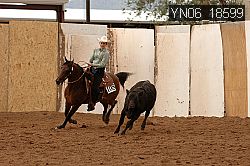 YN06_18599 thumbnail