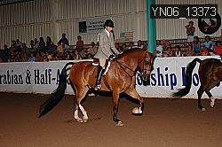 YN06_13373 thumbnail