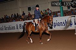 YN06_13375 thumbnail