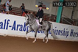YN06_13382 thumbnail