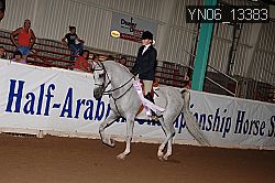 YN06_13383 thumbnail