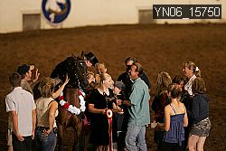 YN06_15750 thumbnail