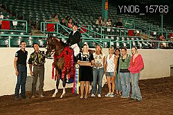 YN06_15768 thumbnail