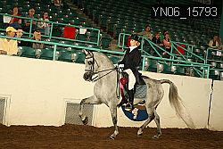 YN06_15793 thumbnail