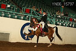 YN06_15797 thumbnail