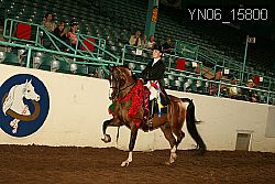 YN06_15800 thumbnail