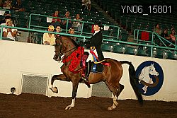 YN06_15801 thumbnail
