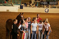 YN06_06597 thumbnail