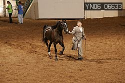 YN06_06633 thumbnail
