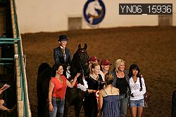 YN06_15936 thumbnail
