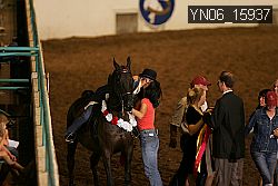 YN06_15937 thumbnail