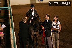 YN06_15943 thumbnail