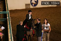 YN06_15944 thumbnail