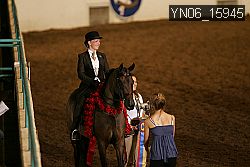 YN06_15945 thumbnail