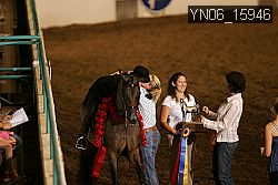 YN06_15946 thumbnail