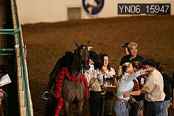 YN06_15947 thumbnail