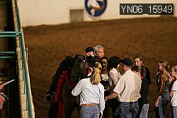 YN06_15949 thumbnail