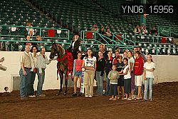 YN06_15956 thumbnail