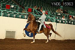 YN06_15963 thumbnail