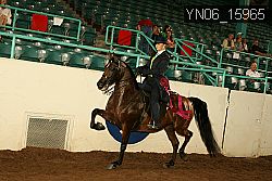 YN06_15965 thumbnail