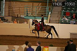 YN06_15968 thumbnail
