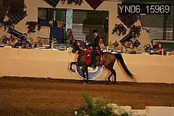 YN06_15969 thumbnail