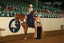 YN06_07827 thumbnail