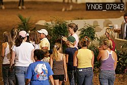 YN06_07843 thumbnail
