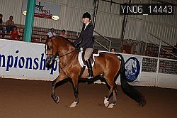 YN06_14443 thumbnail