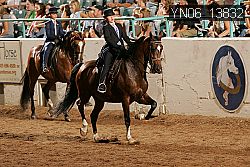 YN06_13832 thumbnail